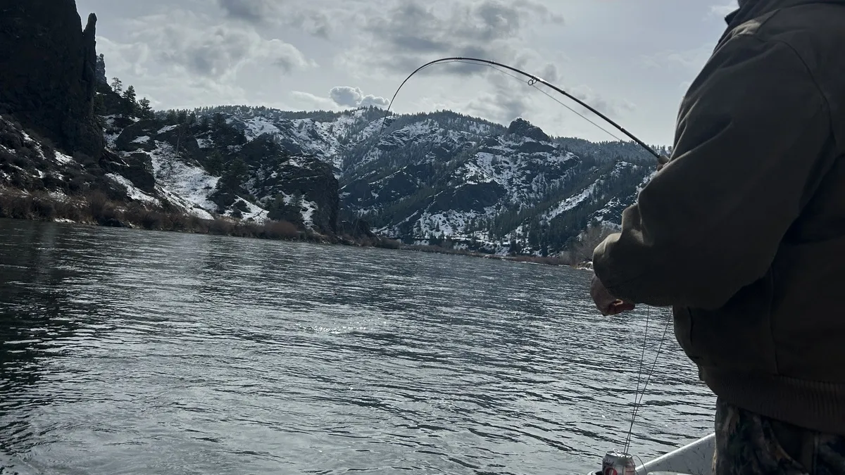 Winter fly fishing on the Missouri River